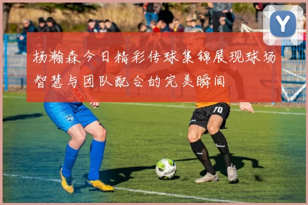 杨瀚森今日精彩传球集锦展现球场智慧与团队配合的完美瞬间